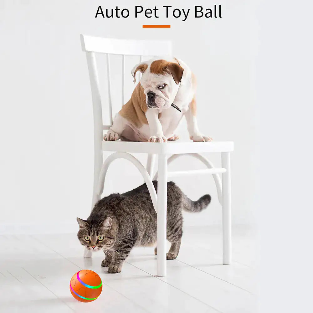 iLED Interactive Pet Smart Toy - iLED My Store